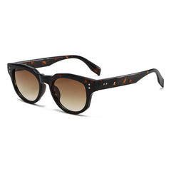New fashion gradient colorful round frame sunglasses tortoise shell sunglasses