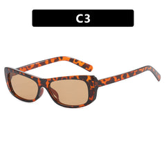 New fashion irregular frame sunglasses leopard print small frame sunglasses
